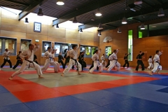 20110213_NFK_Karate_Kempo_stage_MD_43