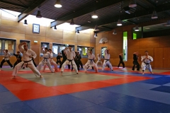 20110213_NFK_Karate_Kempo_stage_MD_47
