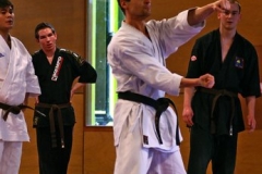 20110213_NFK_Karate_Kempo_stage_MD_63