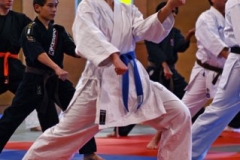 20110213_NFK_Karate_Kempo_stage_MD_64