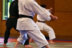 20110213_NFK_Karate_Kempo_stage_MD_67