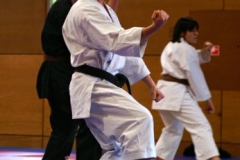 20110213_NFK_Karate_Kempo_stage_MD_68