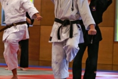 20110213_NFK_Karate_Kempo_stage_MD_69