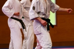 20110213_NFK_Karate_Kempo_stage_MD_7