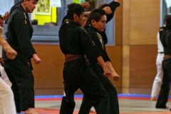 20110213_NFK_Karate_Kempo_stage_MD_72