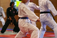 20110213_NFK_Karate_Kempo_stage_MD_74