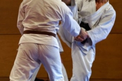 20110213_NFK_Karate_Kempo_stage_MD_78
