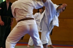 20110213_NFK_Karate_Kempo_stage_MD_79