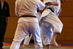 20110213_NFK_Karate_Kempo_stage_MD_80