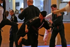 20110213_NFK_Karate_Kempo_stage_MD_85
