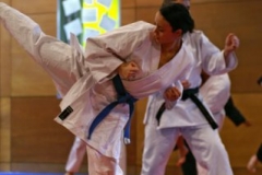 20110213_NFK_Karate_Kempo_stage_MD_87
