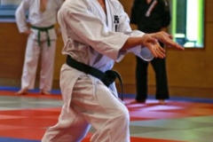 20110213_NFK_Karate_Kempo_stage_MD_91