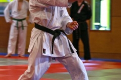 20110213_NFK_Karate_Kempo_stage_MD_92
