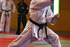 20110213_NFK_Karate_Kempo_stage_MD_94
