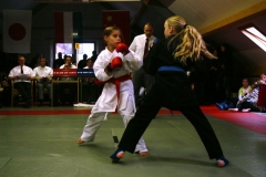 20101114kumite_fotografieMD31