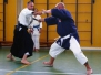 05-06-2010 Open Yoseikan Budo Stage