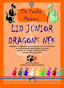 20151126_Lid_Junior_Dragons_Elin_Martens_web