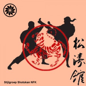 Karate_shotokan_2b2